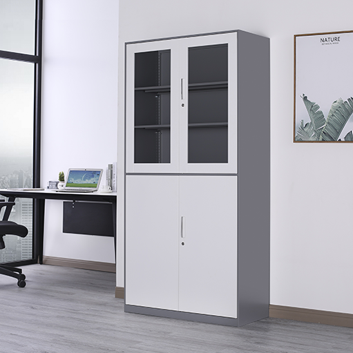 Modern Steel Filing Storage Cabinet With Glass Doors