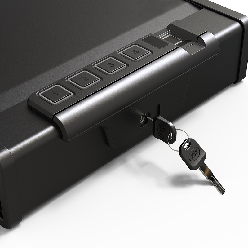 Black Portable Biometric Gun Safe Box