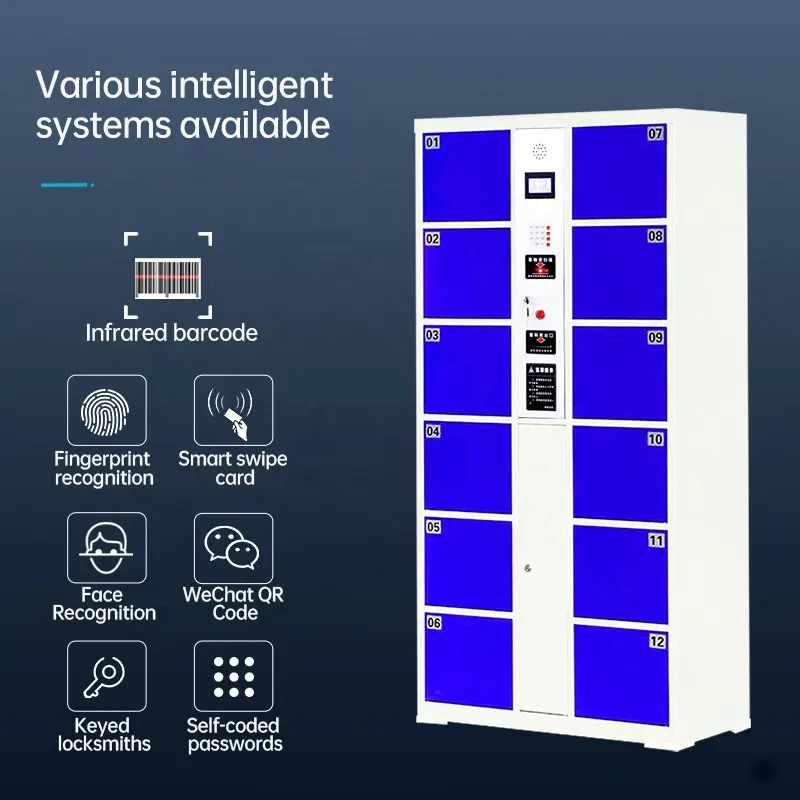 Metal Smart Locker