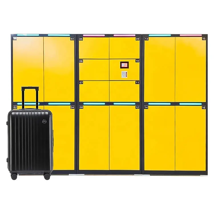 Automatic intelligent electronic luggage locker